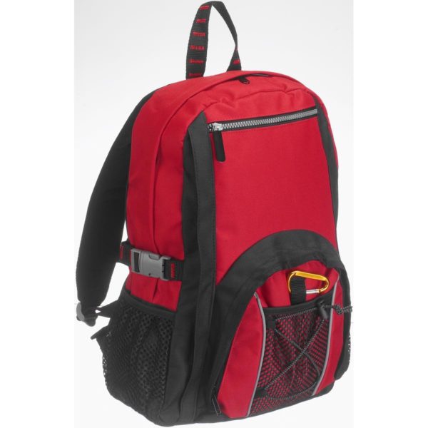 158049 Silver Line Daypack